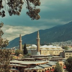 Bursa