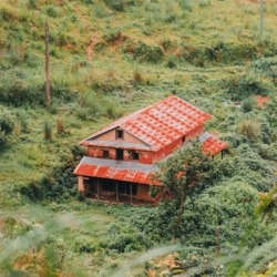 Butwal