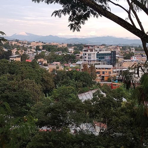 _TARAPOTO