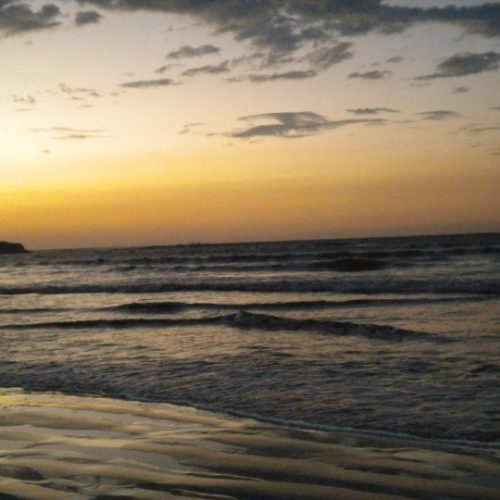 Tamarindo