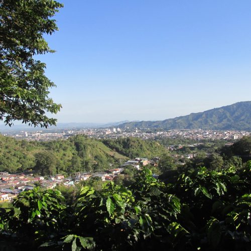 Ibagué