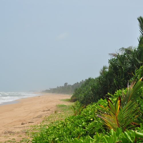 Sri_Lanka%2C_Bentota%2C_beach_%282%29.JPG