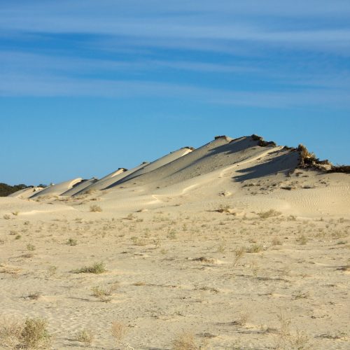 Tunisia_10-12_-_121_-_Douz_Sahara_Trek_%286609312913%29.jpg
