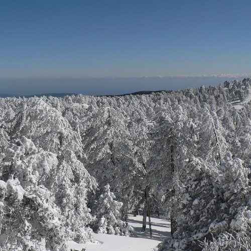 troodos.jpg