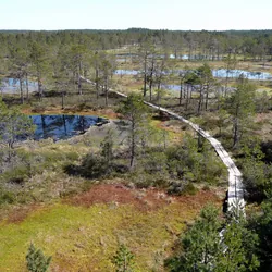 Lahemaa National Park, Estonia