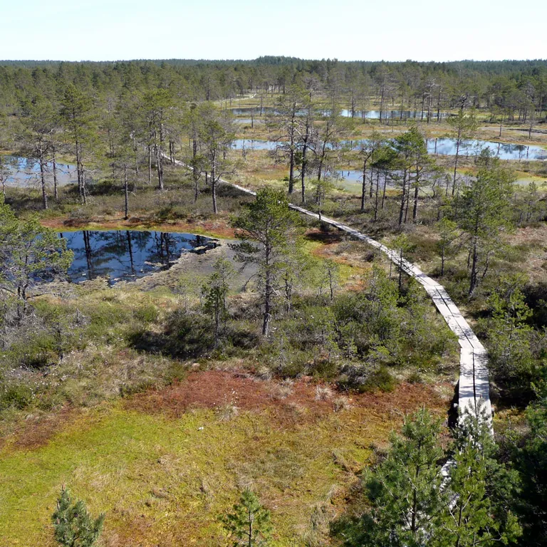 Lahemaa National Park, Estonia